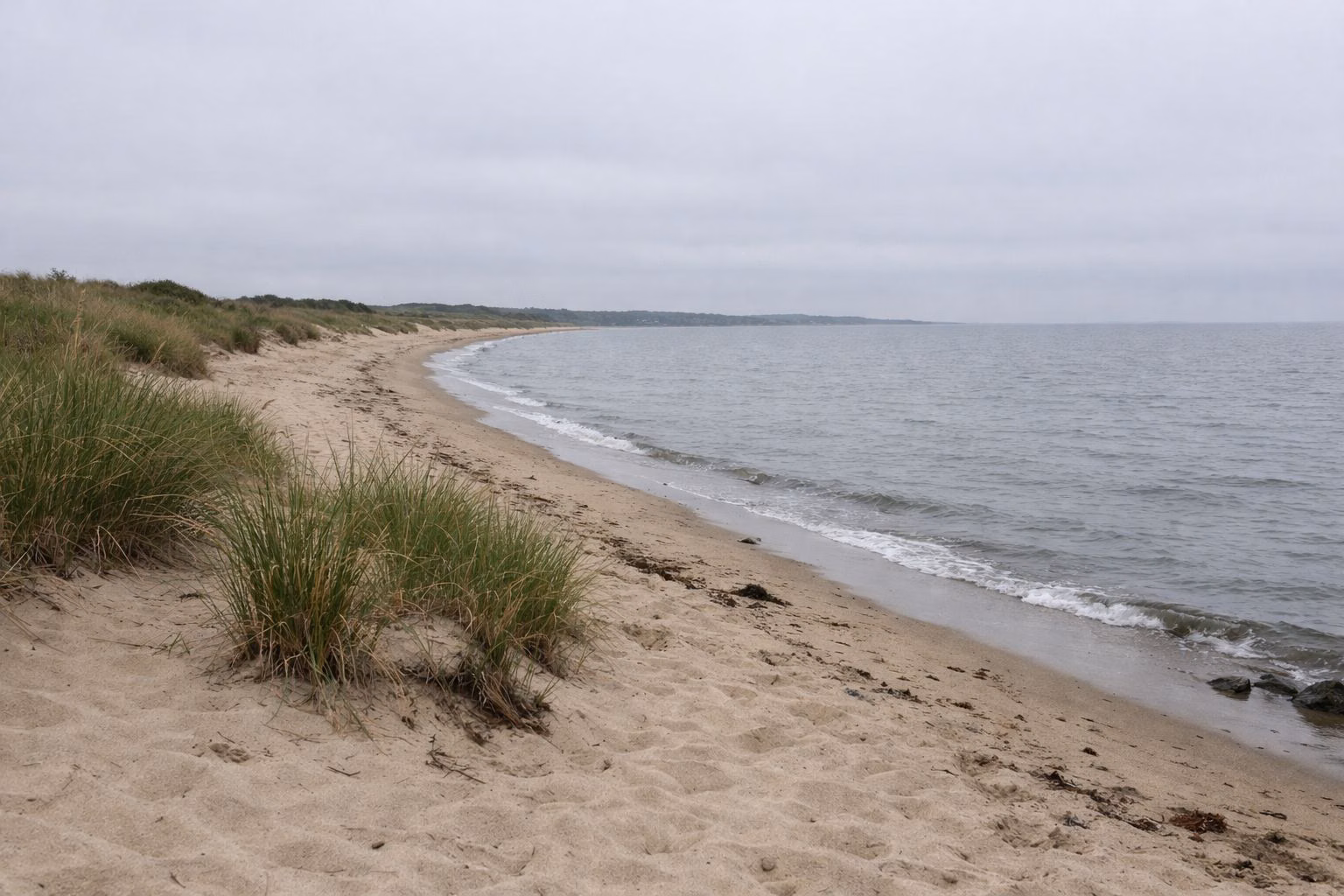 Sandy shoreline with clumps of dune grass and calm gray water on an overcast summer day