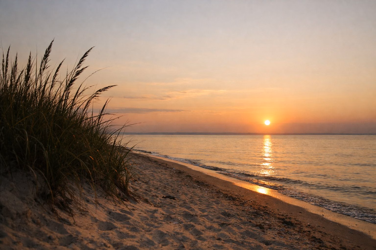 Low sun over calm water at the end of a sandy beach, with dune grass in the foreground
